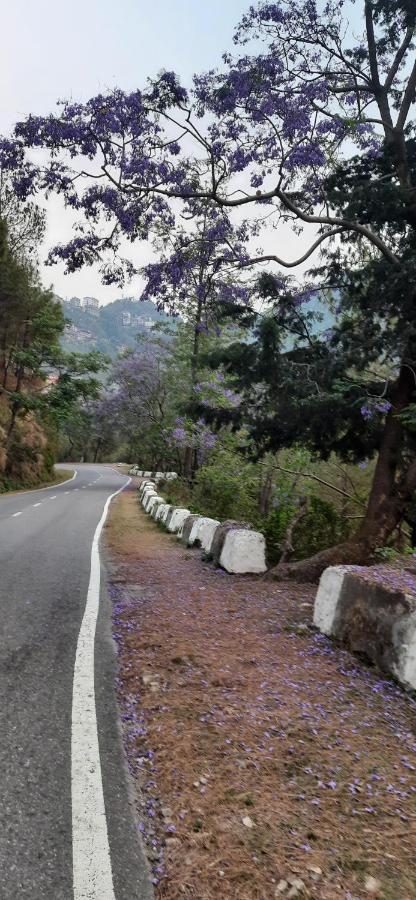Hotel The Paal Shimla Luaran gambar